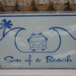 Son of a Beach