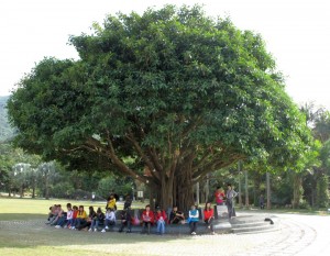 Уставшие туристы прячутся от палящего декабрьского солнца под сенью мангрового дерева