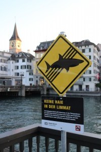 "В реке Лиммат не водятся акулы"
